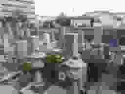 牛立墓地