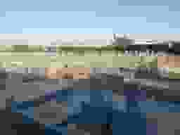 芳浄苑