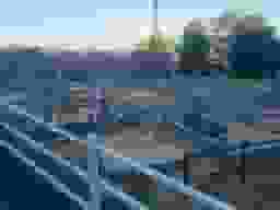 芳浄苑