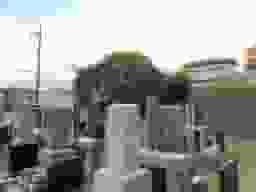 瑠璃光寺三光院墓苑