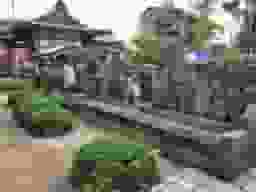 常光山 妙蓮寺