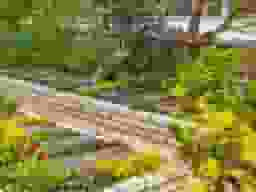 善照寺 行徳庭苑
