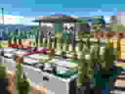 願誓寺浄苑