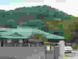 栄林寺