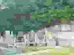 栄林寺