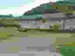 栄林寺