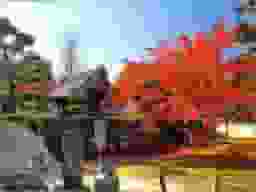 隨心院