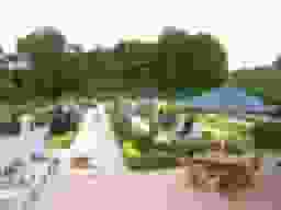 青葉浄苑　園内一角