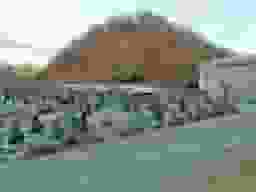 有明霊園
