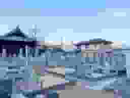 善福寺墓地