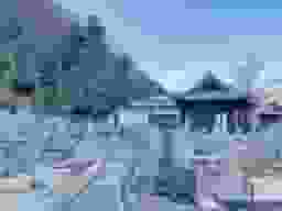 善福寺墓地