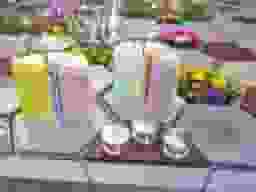 草加アルヴェアージュ