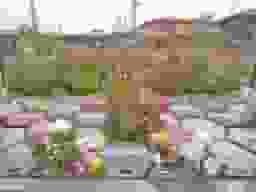 草加アルヴェアージュ