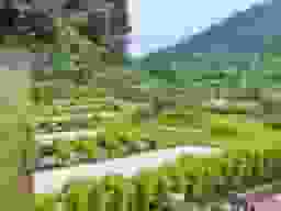 西東京墓苑