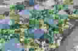 新上桂霊苑