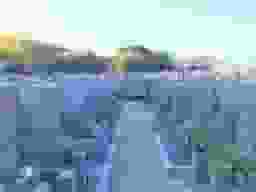 善法墓地