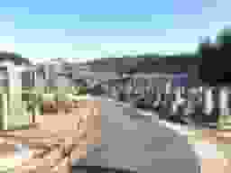 善法墓地