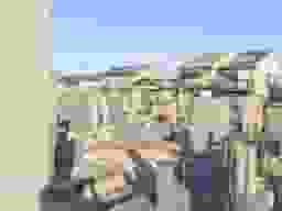 善法墓地