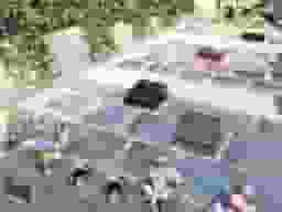 表参道 樹木葬 けやきガーデン