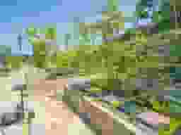 しまだ阿知ケ谷庭苑