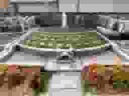 教善寺