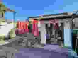 新照寺