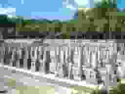 平和公園 永安寺墓地