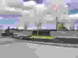 パークフォレスト大阪