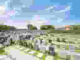 メモリアルパーク藤沢
