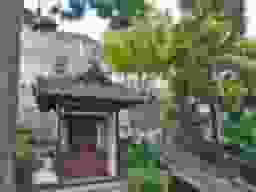 西秦共同墓地