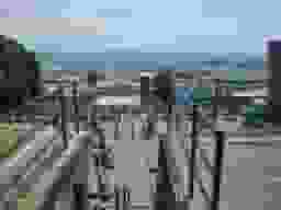 西秦共同墓地