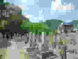 新稲墓地