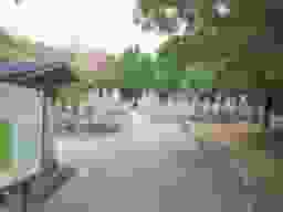 古江墓地