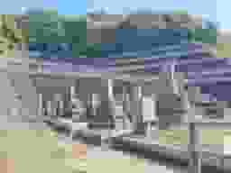 呉霊苑