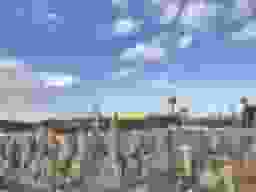 笠作墓地