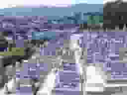 発志院墓地