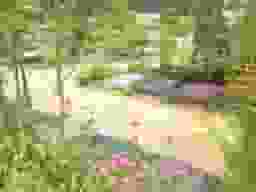 季節ごとの花が咲きます