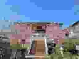 法見寺 のうこつぼ