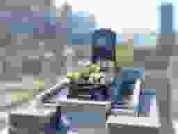 磯子フラワージュ