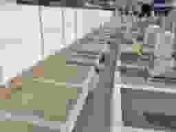 今宿南墓地