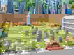 慈光院