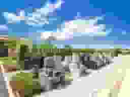 彩光浄苑