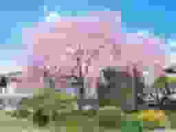 建正寺
