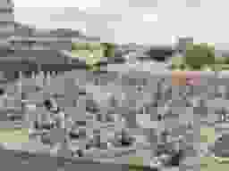 打上墓地