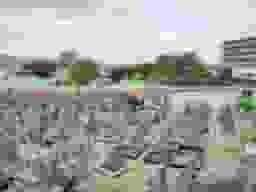 打上墓地