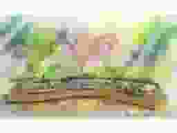 想いでの丘