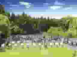 佐倉やすらぎの郷　広々とした区画