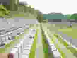 墓域風景