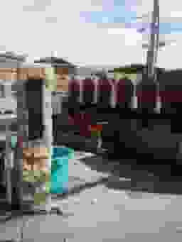 長田西墓地