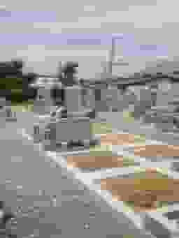 堀溝・新家墓地